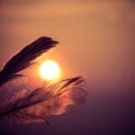 articolo sulla fiaba di Selena