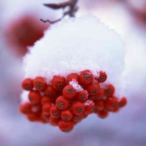 Fiabe teatrali spettacoli