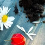 La fiaba di Biancaneve e il suo significato